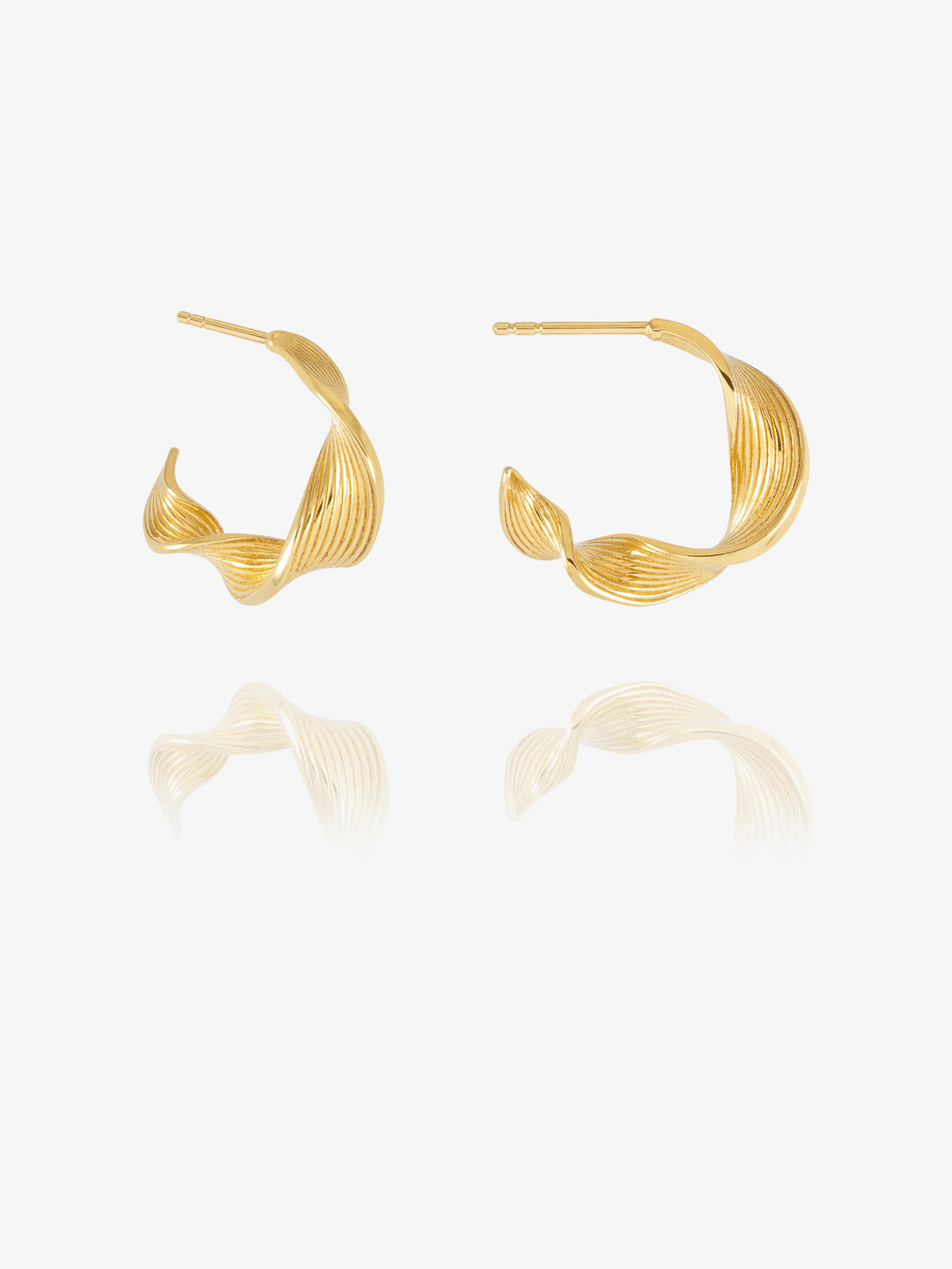 Twisted Hoop Earrings