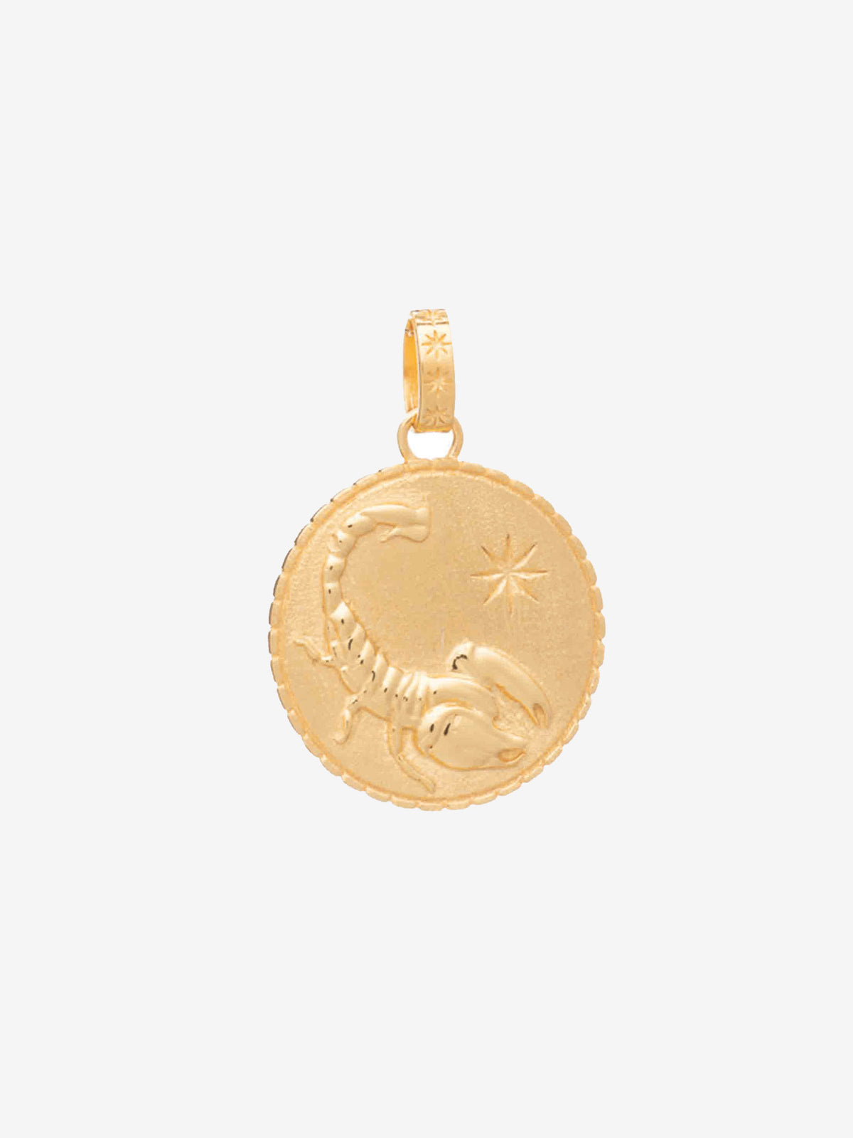 Zodiac Statement Art Coin Charm